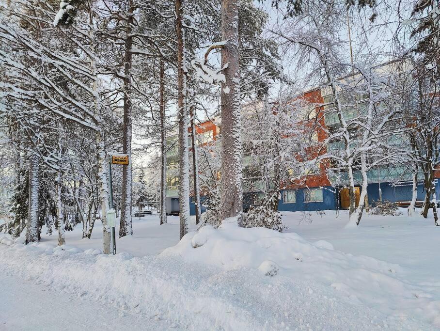 Spacious Apartment With Balcony And Free Wifi Рованиеми Екстериор снимка